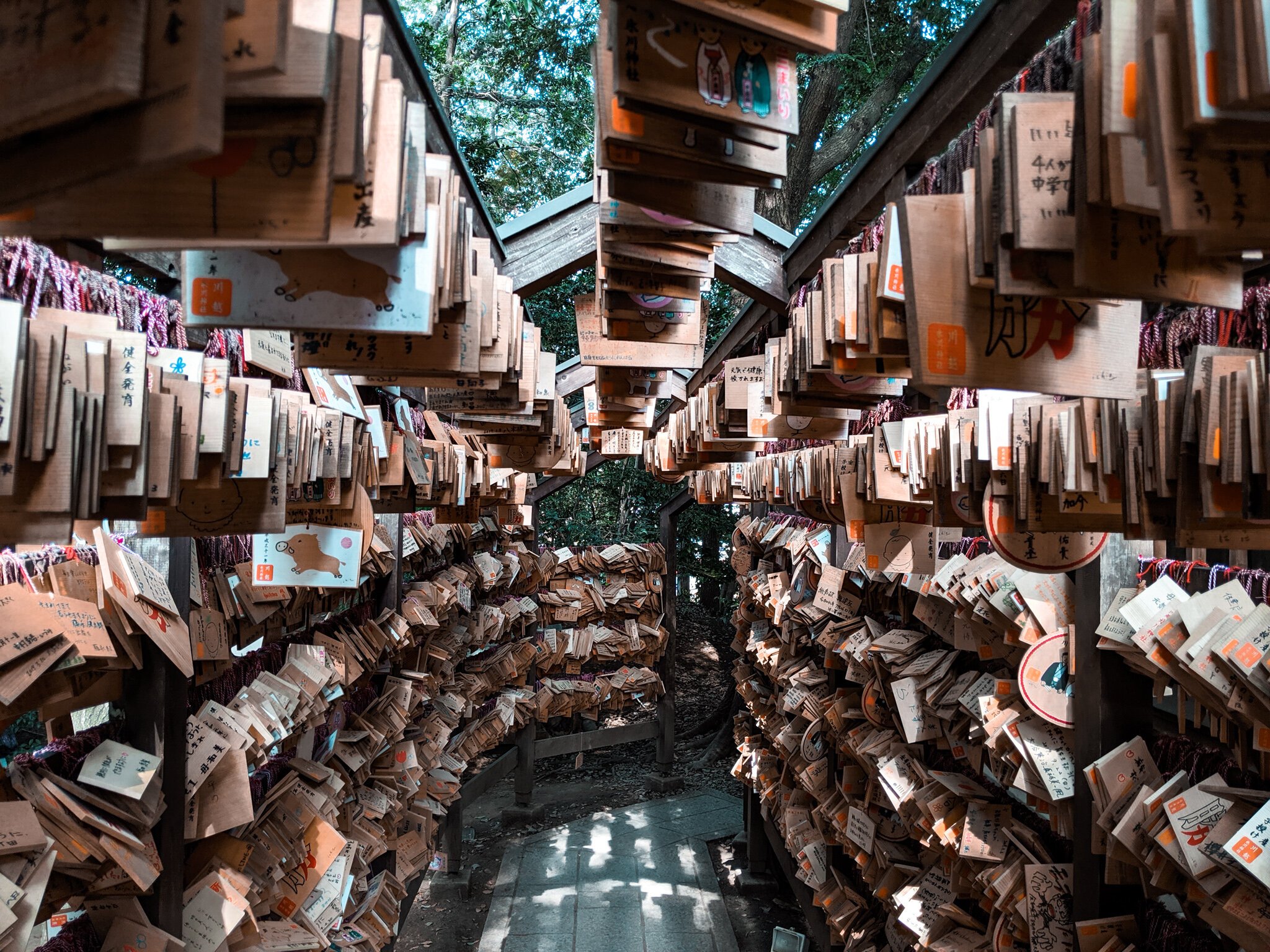 ⛩️ 가와고에 히카와 신사 (가와고에 히카와 진자) 이미지 6